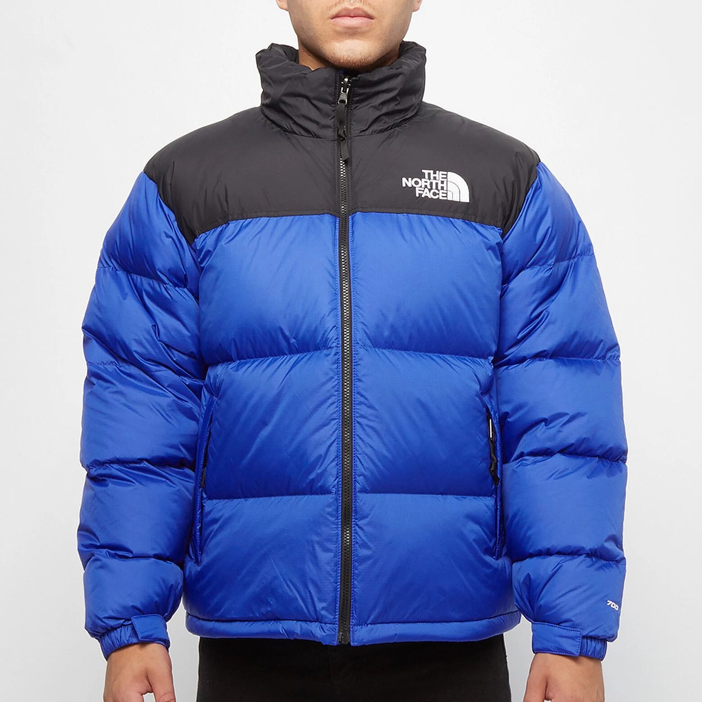 THE NORTH FACE  1996 ECO NUPTSE BLUE PUFFER